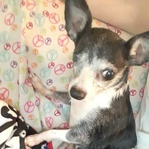 Meet your Posher, Zandra